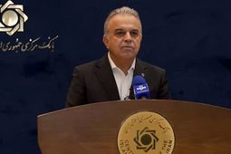 ۹۰۰ کارت بازرگانی اجاره‌ای با ۱۵ میلیارد دلار تعهد ارزی شناسایی شد