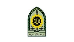 آیین نامه اجرایی «بیمه مسئولیت مدنی کارکنان نیروی انتظامی» به دولت رفت