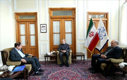 دیدار لاریجانی با مدیران بیمه مرکزی