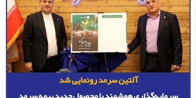 برگزاری نشست معرفی «بیمه زندگی و تشکیل سرمایه متصل به دارایی آلتین» ویژه مراکز درمانی و بیمارستان‌ها