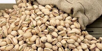 صادرات ۱.۷ میلیارد دلار پسته به ۷۳ کشور دنیا