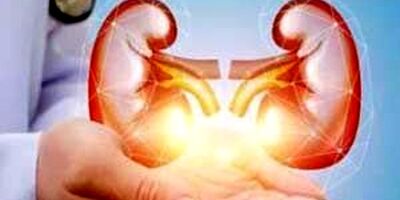 بهترین مواد غذایی برای تقویت سلامت کلیه که نمی دانستید
