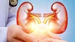 بهترین مواد غذایی برای تقویت سلامت کلیه که نمی دانستید
