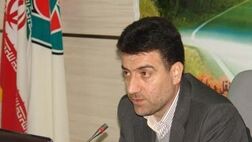  پرداخت نصف حق بیمه رانندگان توسط دولت 