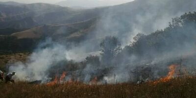 آخرین جزئیات از آتش سوزی در منطقه جنگلی «ونستان و چایکندی» ارسباران
