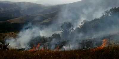 آخرین جزئیات از آتش سوزی در منطقه جنگلی «ونستان و چایکندی» ارسباران
