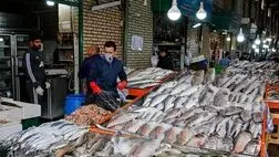 ۵۰ هزار تن انواع آبزی از ایران صادر شده است