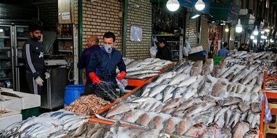 ۵۰ هزار تن انواع آبزی از ایران صادر شده است