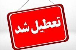 مدارس ابتدایی تهران ۲ روز مجازی شد