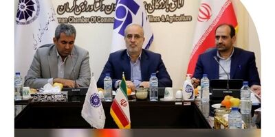 سومین نشست فصلی مدیران ستادی و شعب بیمه سرمد برگزار شد