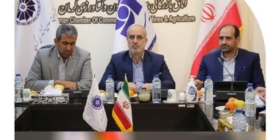  همایش روز ملی بیمه در کرمان برگزار شد