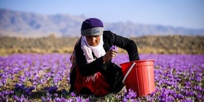 4 هزار فاروجی فاقد بیمه اجتماعی روستایی هستند