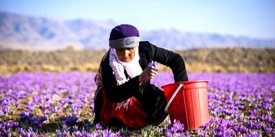 4 هزار فاروجی فاقد بیمه اجتماعی روستایی هستند