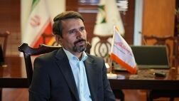 نیمی از بیمه نامه‌ها در کارآفرین آنلاین صادر می‌شوند