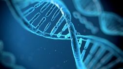 شناسایی ۲۱ ژن چاقی و آلزایمر در میانسالی