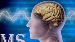 سازمان‌های بیمه‌گر نمونه‌های تولید داخل دارو‌ها را مبنای پوشش قرار داده است