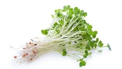 خواص باورنکردنی یونجه برای سلامتی / از کاهش کلسترول، قند خون تا فراتر از آن