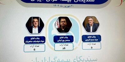 مدیرعامل سابق بیمه البرز، برنده رقابت نفسگیر بین کریمی و فرشباف ماهریان 