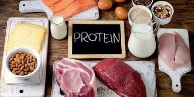 نقش پروتئین در سلامت بدن
