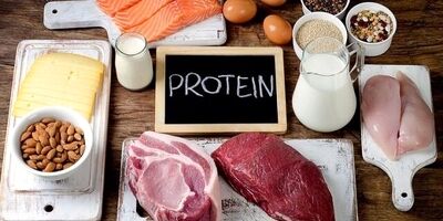 نقش پروتئین در سلامت بدن
