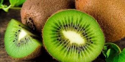 زرشک ایرانی به سفره کدام کشورها می‌رود؟