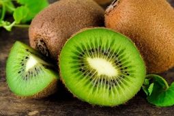 
صادرات ۳۵ هزار تن کیوی ایرانی به ۲۳ کشور/ روسیه اولین مشتری