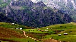 نجات جان مراتع و جنگل‌ها با نسخه اثربخش بیمه اجباری