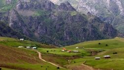نجات جان مراتع و جنگل‌ها با نسخه اثربخش بیمه اجباری