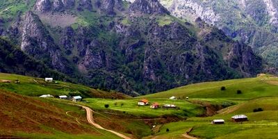 نجات جان مراتع و جنگل‌ها با نسخه اثربخش بیمه اجباری