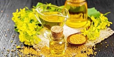 چرا امسال کلزا کمتر کشت شد؟