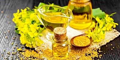 چرا امسال کلزا کمتر کشت شد؟