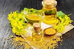 چرا امسال کلزا کمتر کشت شد؟
