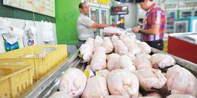  قیمت عمده فروشی مرغ در میدان بهمن، امروز ۳۸ هزار تومان 