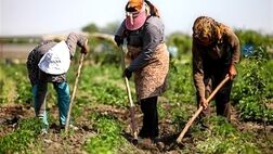 ثبت رکورد ۵.۷ درصدی نرخ بیکاری در روستاها 