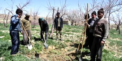 بیش از 49 میلیارد ریال خسارت به کشاورزان مهابادی پرداخت شد