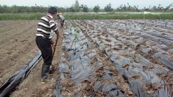 تسهیلات پرداختی به کشاورزان خسارت دیده امهال می‌شود
