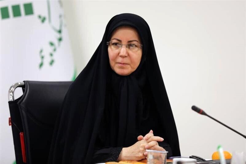 مهمترین هدف همایش بیمه و توسعه، گفتمان سازی است