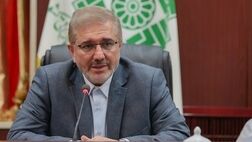 ۱۴۰ هزار خانه لوکس مشمول مالیات در کشور شناسایی شد
