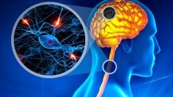 شرح یک بیماری خودایمنی و علائم پیشرفت آن در زنان

