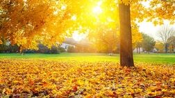 ثبت گرم‌ترین آذر در ۳۳ سال اخیر