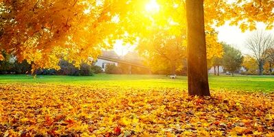 ثبت گرم‌ترین آذر در ۳۳ سال اخیر