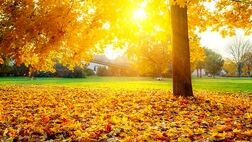 ثبت گرم‌ترین آذر در ۳۳ سال اخیر