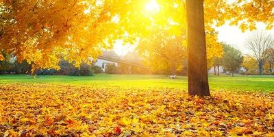 ثبت گرم‌ترین آذر در ۳۳ سال اخیر