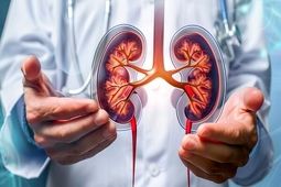 کلید پیشگیری از بیماری مزمن کلیه
