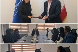معارفه سرپرست معاونت فروش و توسعه بازار بیمه زندگی خاورمیانه

