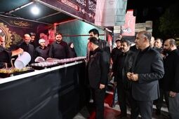 قدردانی معاون توسعه مدیریت و منابع وزارت اقتصاد از موکب بیمه ایران
