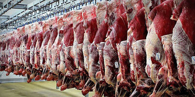 گوشت گوسفندی‌ در قصابی‌ها 470 هزار تومان‌