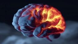 این پروتئین از مغز در برابر آلزایمر محافظت می‌کند

