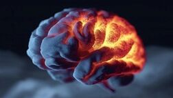 این پروتئین از مغز در برابر آلزایمر محافظت می‌کند
