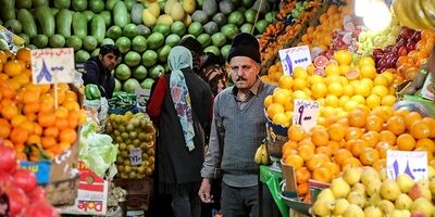 صادرات میوه نصف شد